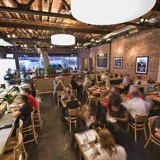 Yokozuna - Downtown Tulsa